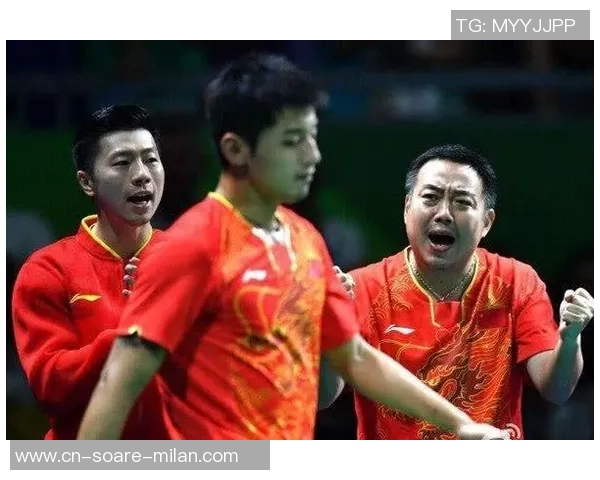 日本球迷表明了解张本智和两头受气的苦楚：请日乒协给他心思维护